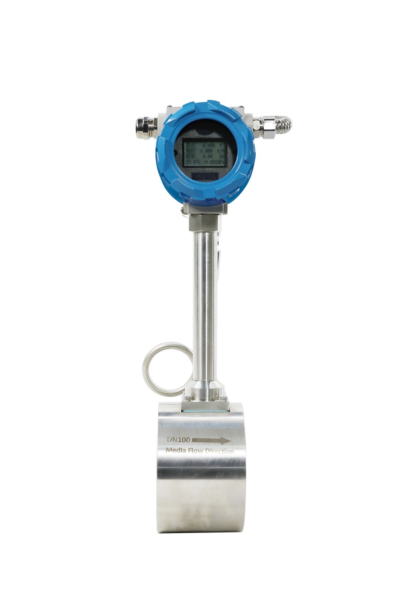  经济型法兰夹持涡街樱桃视频大全